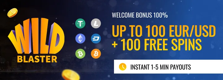 Wildblaster Casino Review