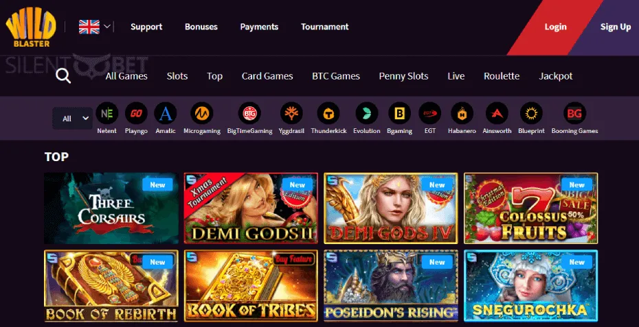 Wildblaster Casino 